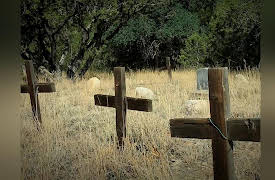 Hotel Secrets & Legends Season 1: Deceptive Doctor