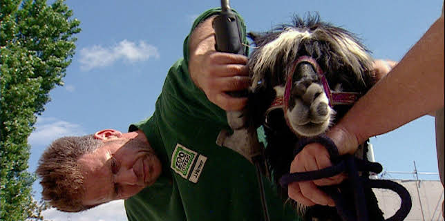 14:25: Elefant, Tiger & Co. (214) | MDR Fernsehen | 12/11 2025