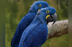 The National Geographic Guide to Landscape and Wildlife Photography: Drive-By Photography: Travel Photos