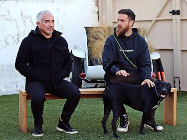 06:25: Cesar Millan: Better Human Better Dog - Bessere Menschen, bessere Hunde | Sixx | 5/17 2026