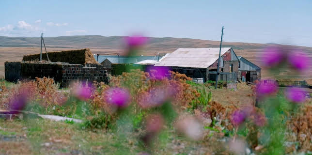 18:00: Heute im Osten - Reportage | MDR Fernsehen | 1/10 2026