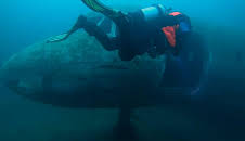 Lost and Found in the Lakes