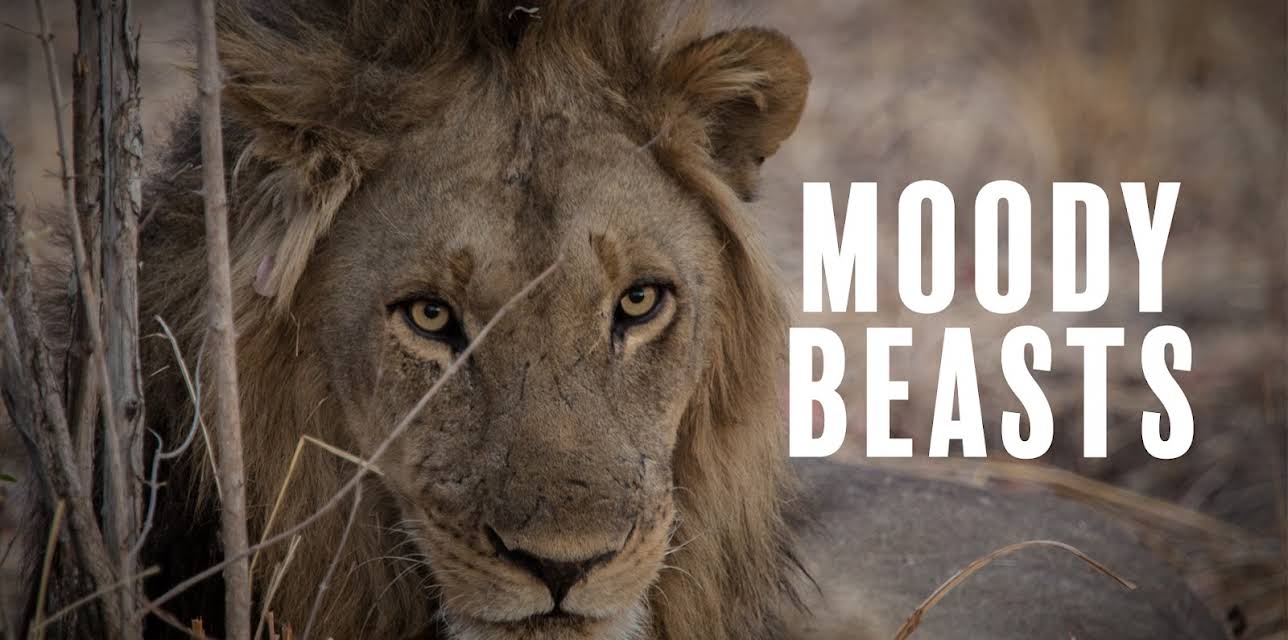 Moody Beasts