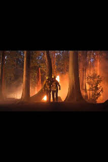02:07: Fire Country (T1): Ep.1 Piloto | Calle 13 | 6/14 2026
