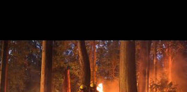 10:44: Fire Country (T1): Ep.1 Piloto | Calle 13 | 2/21 2026