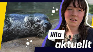 09:45: Lilla Aktuellt | Barnkanalen | 8/6 2026