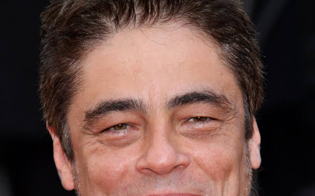 Benicio Del Toro