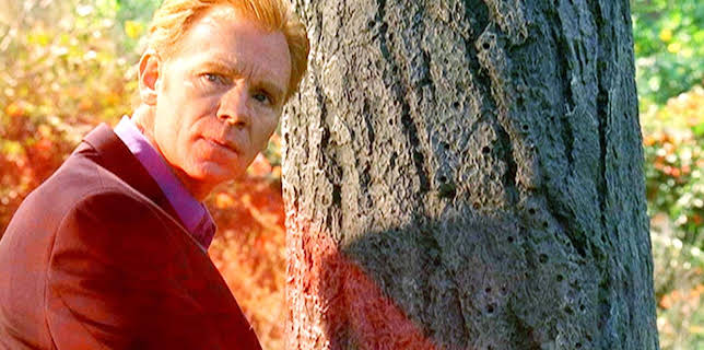 14:05: CSI: Miami | VOX | 1/22 2026