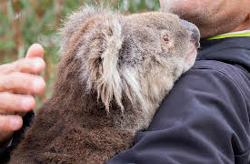 Critical Kingdoms: Stories of Hope, Season 1: Australia - Tales of Water and Fire