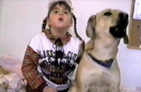 Life's Funniest Moments: Season 1: Episode 214