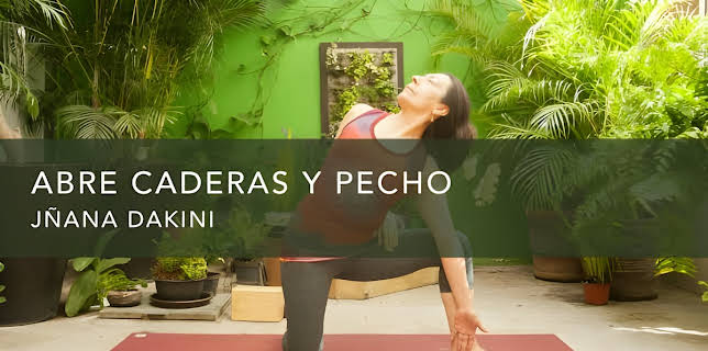 Abre caderas y pecho (2016)