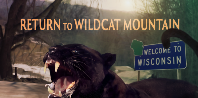 Return to Wildcat Mountain: Wisconsin's Black Panther Nexus (2020)