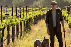 Star Trek: Picard: Remembrance