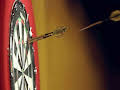 Darts Gold: Taylor v Barneveld