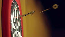 Darts Gold: Taylor v Lewis 2010