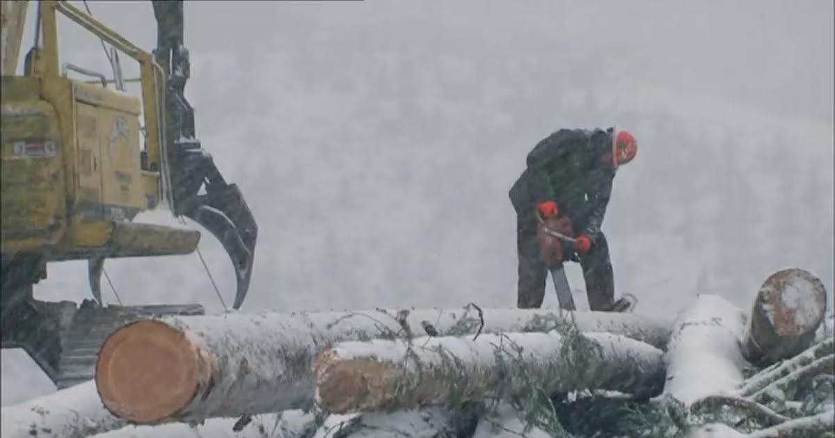 5/12 04:15 | Ax Men på TV3 Max