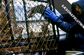 Deadliest Catch: Episode 10