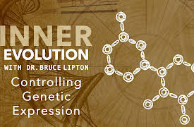 Inner Evolution: Controlling Genetic Expression