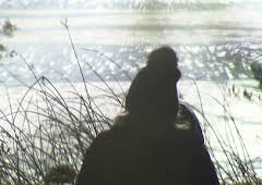 Expedition in die Heimat