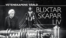 Vetenskapens värld: Blixtar skapar liv