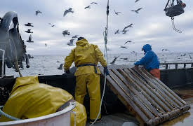 Deadliest Catch, Season 20: The Purpose of Porpoises