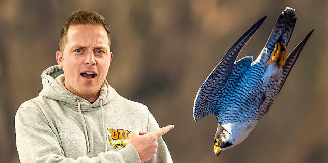 9:20 AM: One Zoo Three | CBBC | 3/19 2026