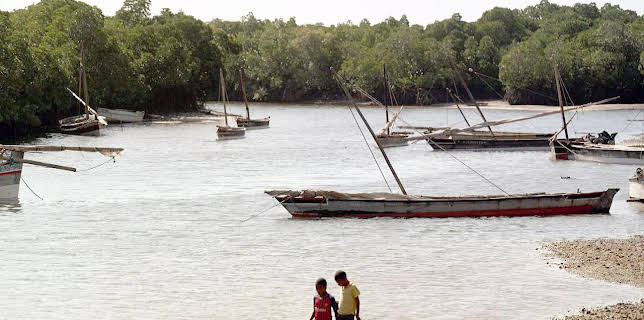 13:15: Stadt Land Kunst | Arte | 11/10 2025