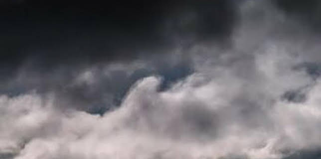 15:44: El corazón salvaje de España | La Otra | 12/11 2025