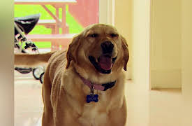 A Week To My Wedding: Sinead and Paul