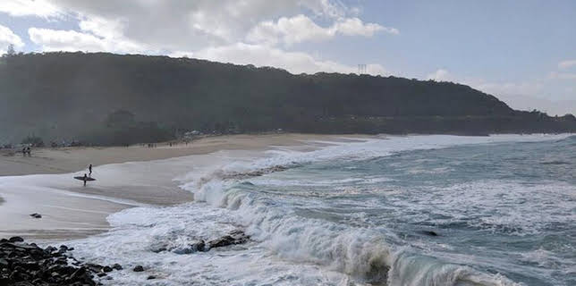 11:50: Abenteuer Wildnis | BR Fernsehen | 1/30 2026