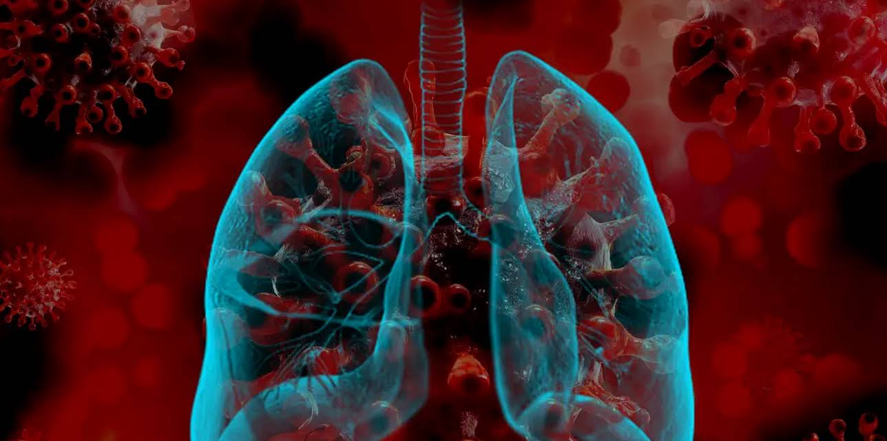 The Body Vs. Coronavirus (2023)