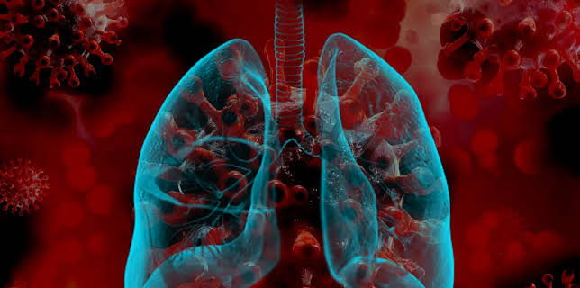 The Body Vs. Coronavirus (2023)