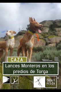10:40: Lances monteros en los predios de Torga | Caza y Pesca | 3/14 2026