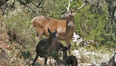 natur exclusiv
