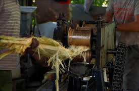 The Story Of: The Story Of Sugar