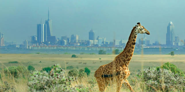 Grensesprengende vitenskap: Vårt utrolige hjem (2021)