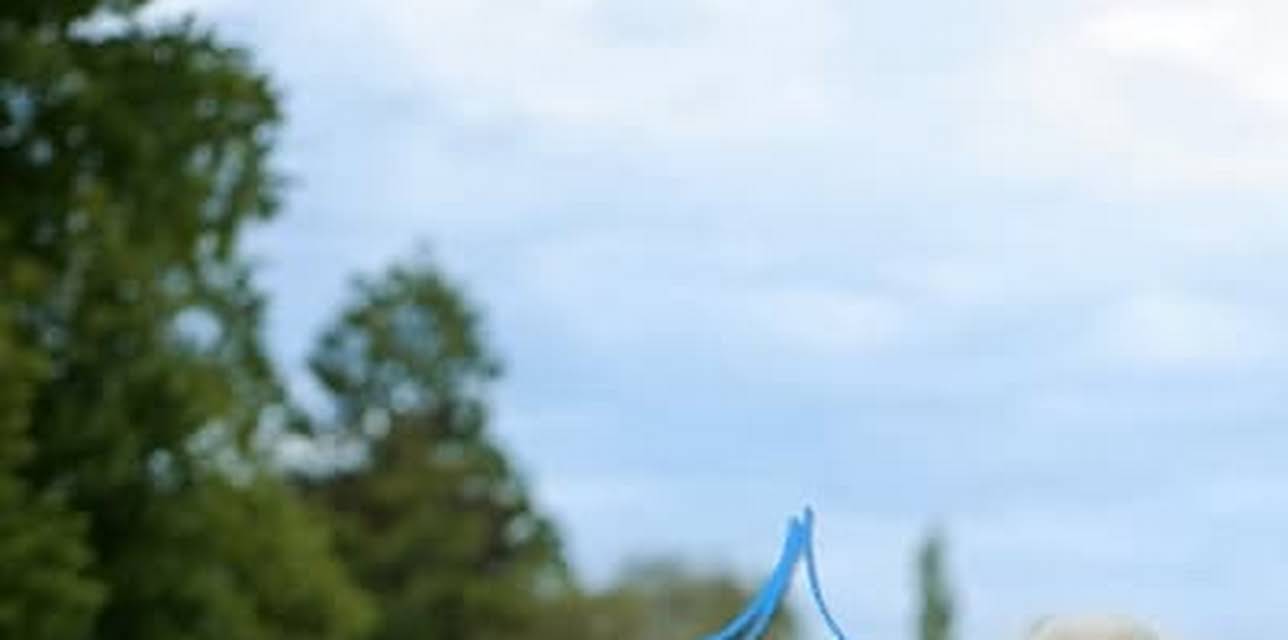 My Life-Saving Dog (2023)