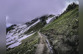 Wandering Down the Road: The Split Part One: The Enchanted Northwest