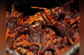 New Zealand From Above: The Far South