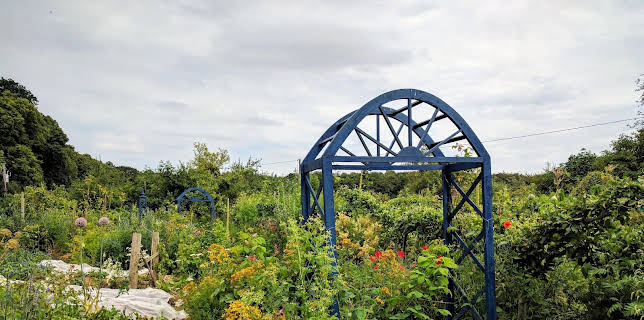 17:45: Querbeet | HR Fernsehen | 3/14 2026