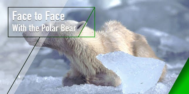 Face to Face With the Polar Bear (2005)