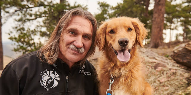 18:00: Dyrlegen i Rocky Mountain (S5 E11) (S5) | Animal Planet | 11/11 2025