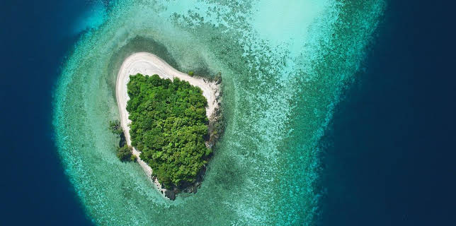 21:05: Tropische Inseln (2/3) | ARD Alpha | 12/31 2025