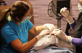 Dr. Pimple Popper:  The Last Unicorn