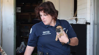 11:20: Animal Cops Phoenix (S15 E7) (S15) | Animal Planet | 2/13 2026