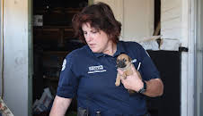 Animal Cops Phoenix (S15 E7)