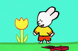 Louie: Season 1: Louie, Draw me a Flower