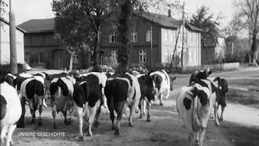12:00: Unsere Geschichte | Radio Bremen | 6/20 2026