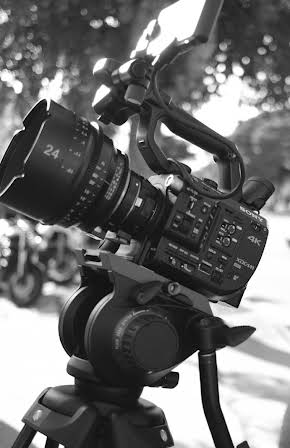 Dan Napoli as Director