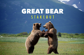Great Bear Stakeout: Episode 2